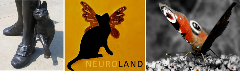 neuroland